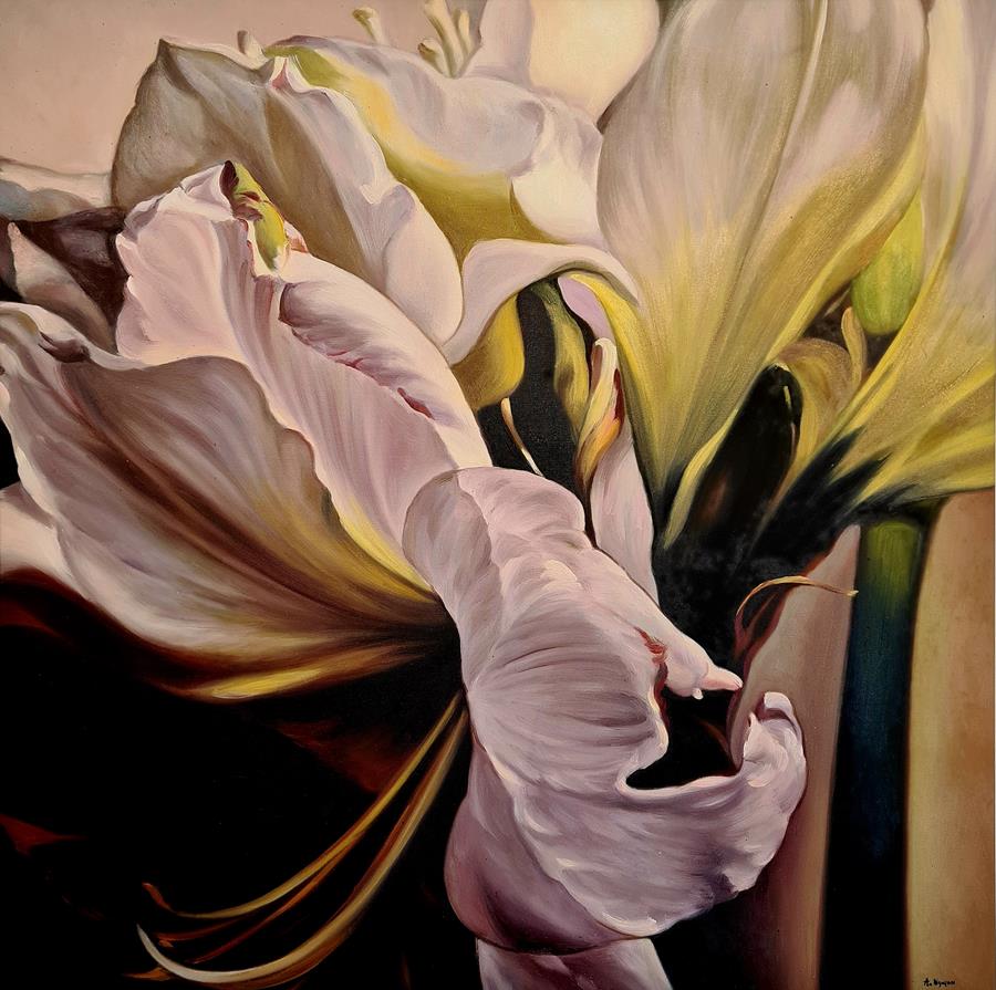 AMARYLLIS 02 <br>70 x 70 cm<br>olje på lerret