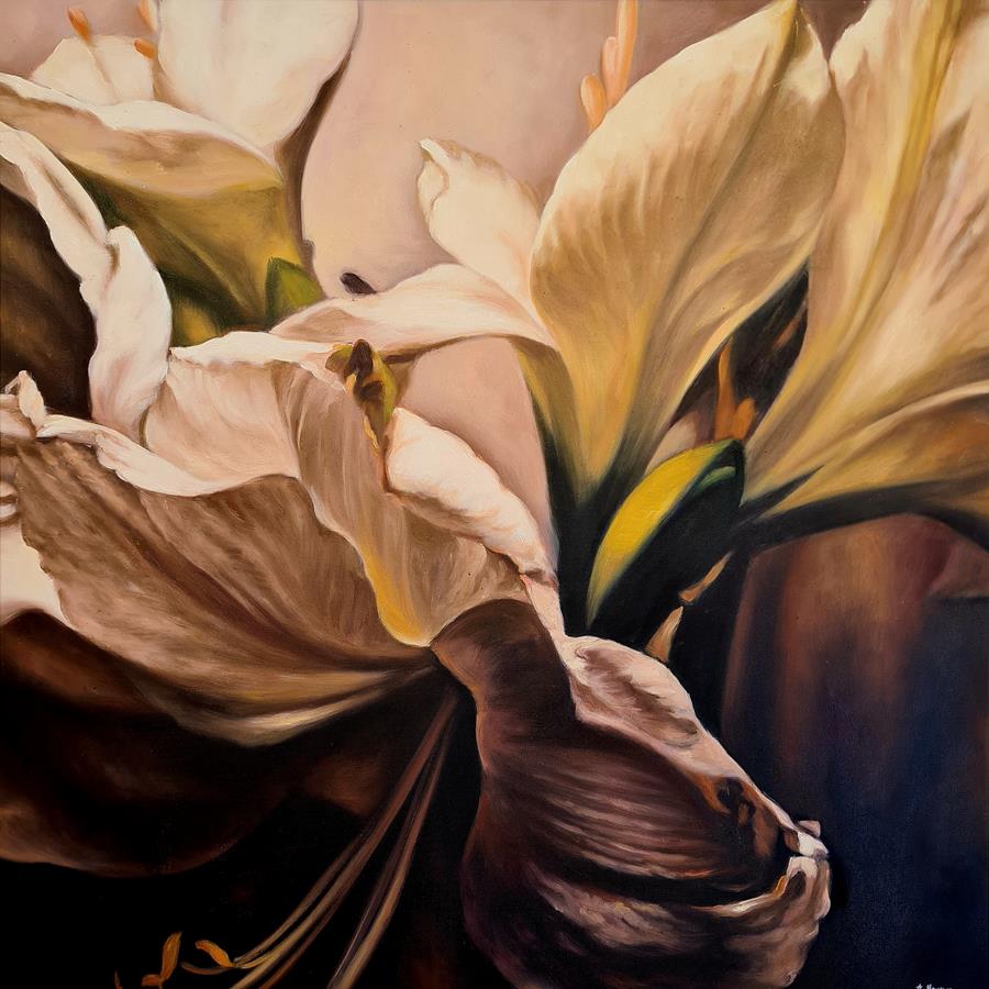 AMARYLLIS 03 <br>70 x 70 cm<br>olje på lerret