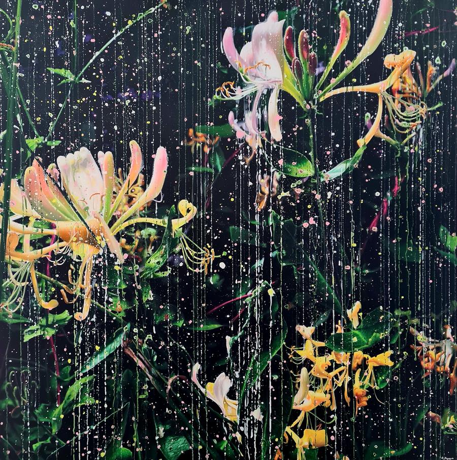 LONICERA CAPRIFOLIUM DARK 01 <br>120 x 120 cm<br>olje på lerret