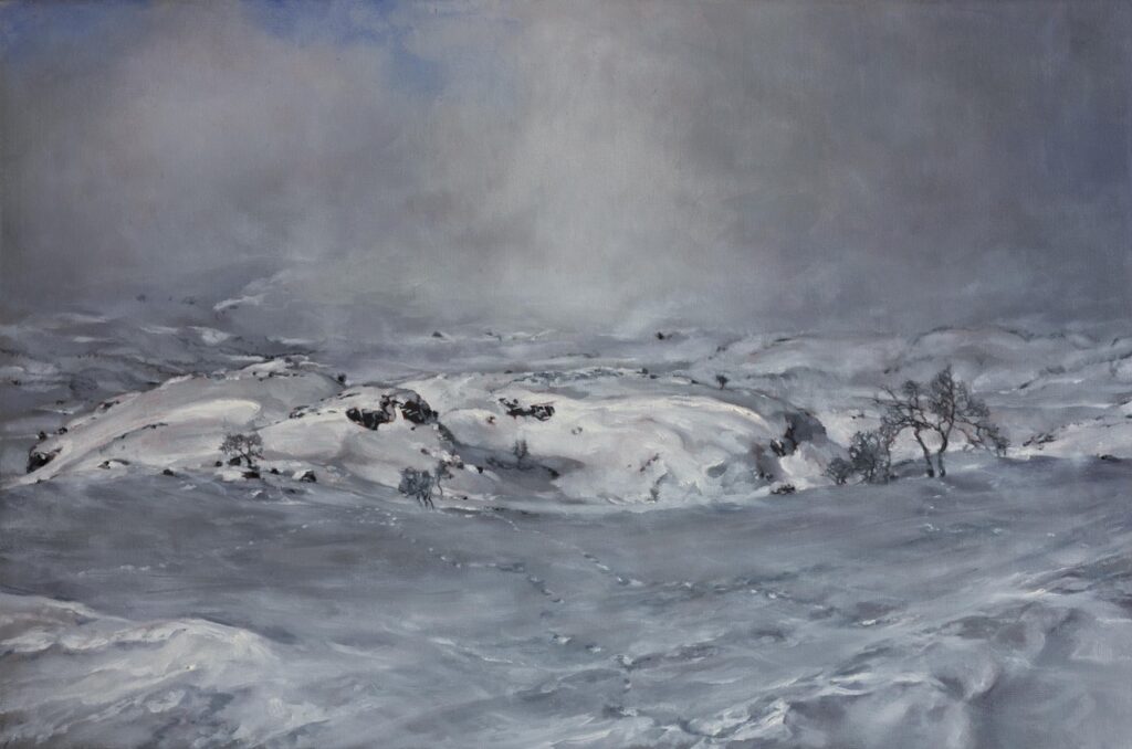 UVÆR (Haukelifjell)<br>40 x 60 cm<br>oil on canvas